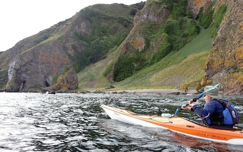 Canoeists spotted the animal on a beach at the ba<em></em>se of a steep cliff