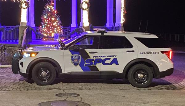 SPCA car