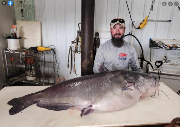 Micka Burkhart brought the fish to a certified weigh station wher<em></em>e he was met by a state biologist to certify the catch.
