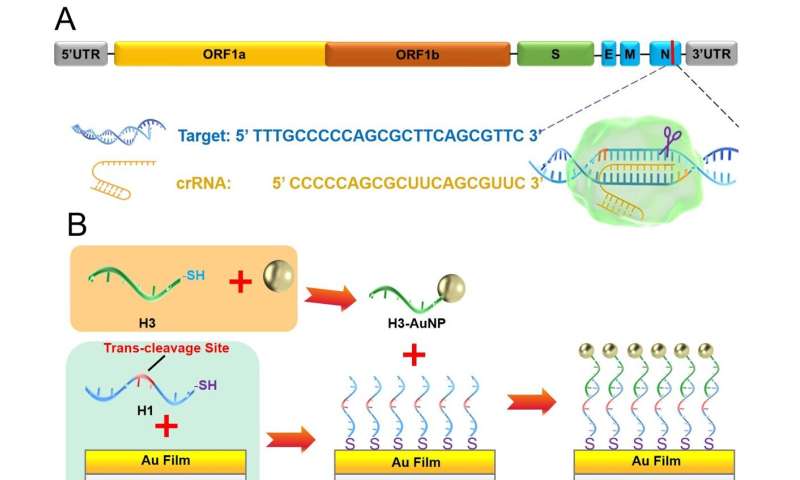 Early and sensitive detection of pathogens for public health and biosafety: an example of surveillance and genotyping of SARS-CoV-2 in sewage water by Cas12a-facilitated portable plasmo<em></em>nic biosensor