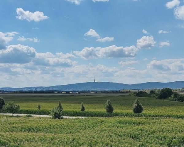 The countryside east of Bratislava. (Illustrative image)