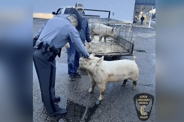 The troopers were able to help the restaurant and 